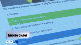 Тяните билет: какие изменения в порядок проведения экзамена в автошколах готовят депутаты Госдумы