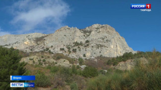 Строительство газопровода от села Весёлое до посёлка Форос идет с опережением графика на четыре месяца