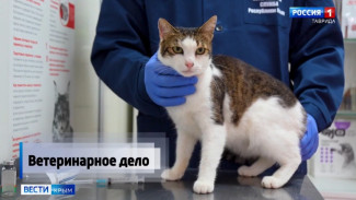 В Крыму с начала года провели более миллиона ветеринарных исследований и вакцинаций