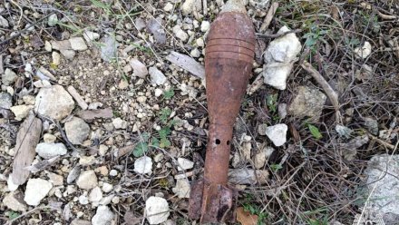 В Бахчисарайском районе нашли и обезвредили минометную мину времён Великой Отечественной войны