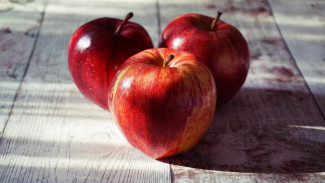 Крымские аграрии бьют рекорды по сбору яблок