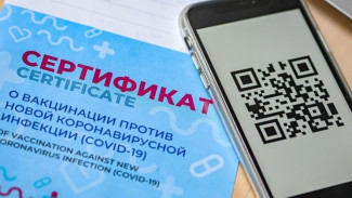 В Крым вернулось требование о предъявлении QR-кодов 