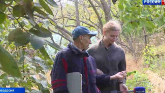 Любитель-садовод из Феодосии выращивает у себя на участке десятки экзотических деревьев