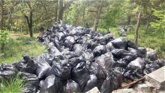 За месяц в Ялте убрали более 145 тонн мусора