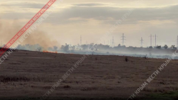 В Крыму горят поля, трасса «Таврида» в дыму