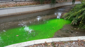 Салгир в Симферополе окрасился в ядовито-зеленый цвет
