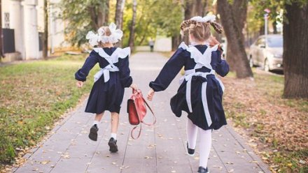 Большинство россиян поддержали обучение школьников использованию ИИ