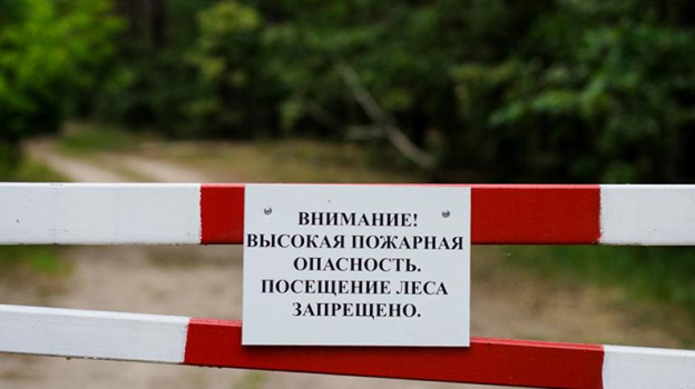 В Крыму запретили посещать леса