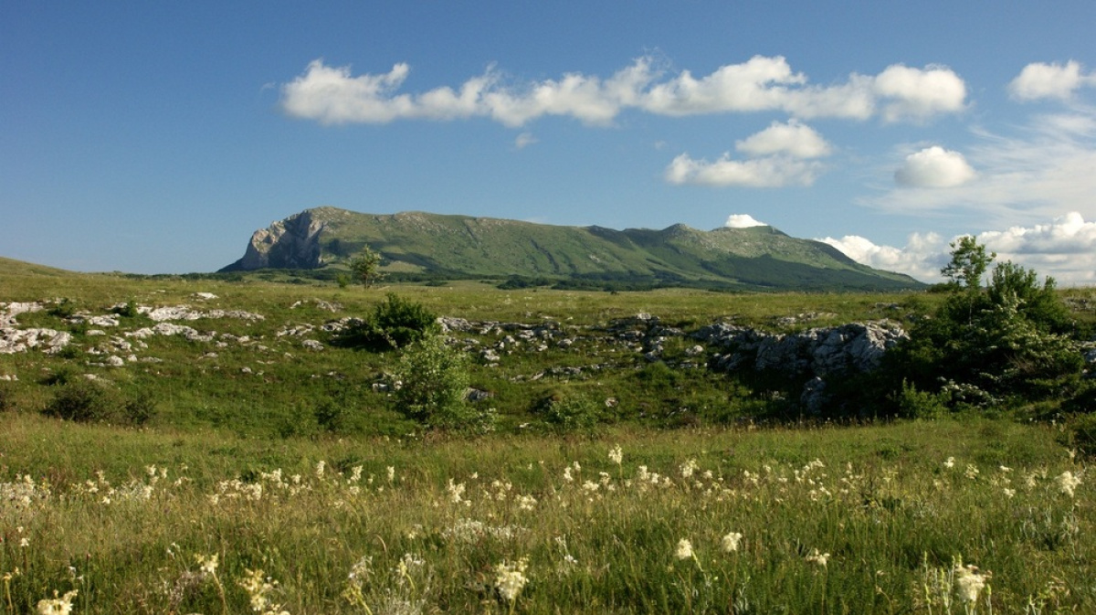 Гора Чатырдаг гора шатёр