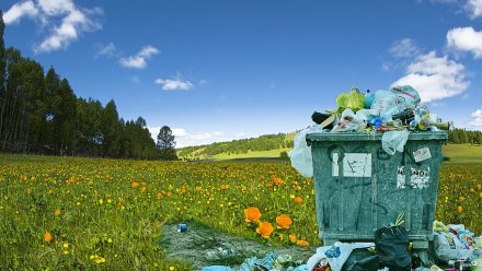 Замглавы Симферопольского района получит выговор за мусорные навалы