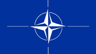 «Без Крыма не возьмут»: в Эстонии оценили шансы Украины на вступление в НАТО