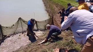 В Крыму приступили к восстановлению прудов для разведения рыбы