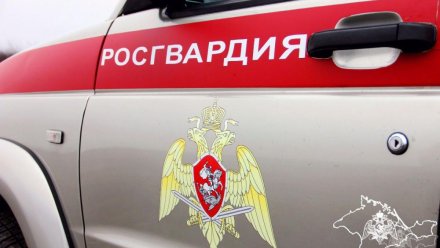 Пьяный мужчина с травматом напал на охранника санатория в Крыму 