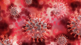 В Крыму 720 человек заразились коронавирусом за сутки 