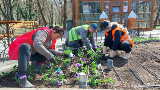 Две тысячи цветов украсили парк Гагарина в Симферополе