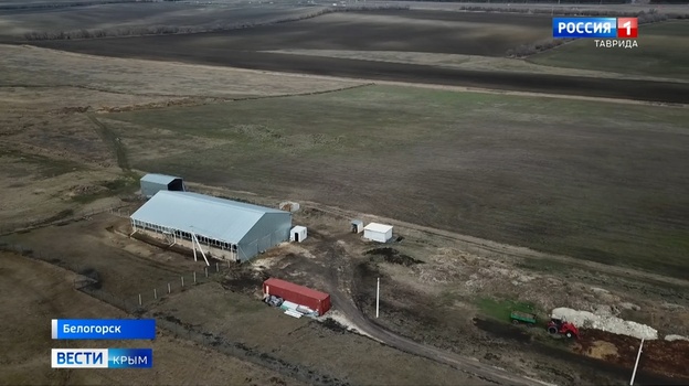 В Крыму у сыровара могут забрать ферму