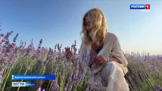  В Тургеневской долине в Бахчисарайском районе зацвело самое большое поле лаванды в Европе.