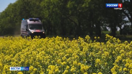 За полгода в Крыму возбудили больше 20 уголовных дел в отношении мигрантов