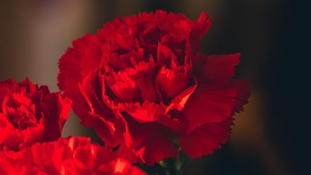 В Крыму почтили память павших в боях героев 