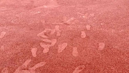 В Керчи вандалы повредили новое покрытие на спортивной площадке