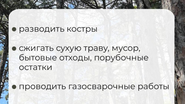 В Крыму вводят ограничения на посещение лесов для обеспечения пожарной безопасности