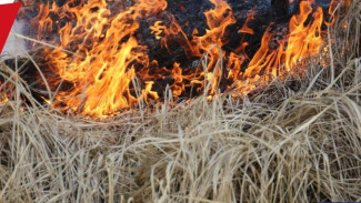 В Ленинском районе ликвидирован пожар на поле площадью два гектара