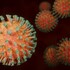 Первый случай заражения штаммом коронавируса «омикрон» зарегистрировали в Севастополе