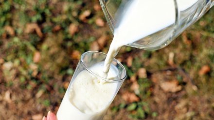 Маркировку молочной продукции в России отменили на год