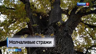 Осень — золотая пора, когда крымская природа приобретает особенный шарм