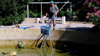  В ялтинском бассейне обнаружили неожиданную находку