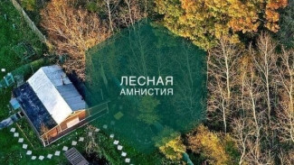 В Крыму продлили «лесную амнистию»