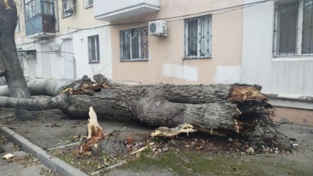 В Феодосии устраняют последствия непогоды