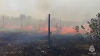 Пожар в Симферопольском районе локализовали на площади 150 гектаров