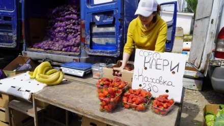 Фермеры из Херсона и Мелитополя привезли свою продукцию на ярмарку в Керчь