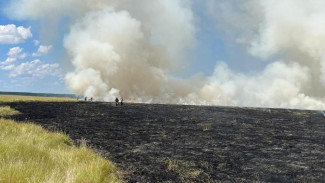 Пожарные ликвидировали возгорание на границе с лесом в Белогорском районе