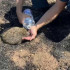 В Сакском районе спасатели потушили пожар и спасли ёжика из горящей травы
