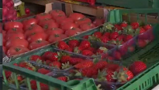 На крымских прилавках появилась ранняя клубника