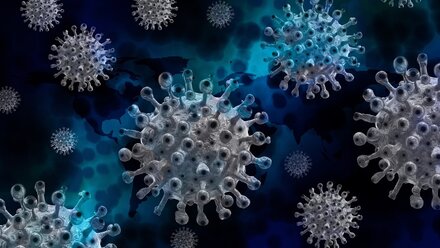 В Севастополе зафиксировали ещё 63 случая коронавируса