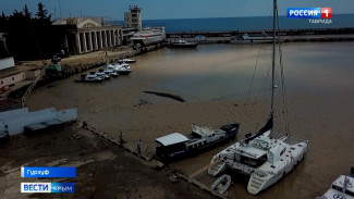 Непогода нанесла удар прибрежной фауне Крыма