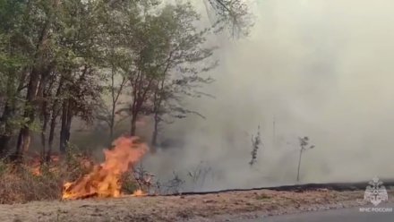 В Симферопольском районе горит сухая трава на 70 гектарах