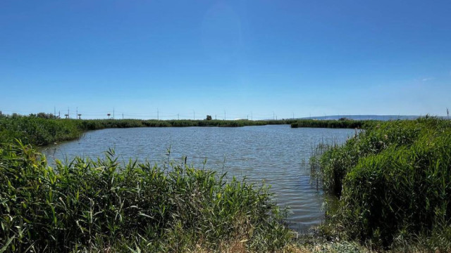 Суд поддержал прокуратуру Крыма: участки на озере Аджиголь признаны незаконными