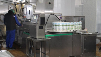 Крымским предприятиям, которые перерабатывают молоко, выделят более 50 миллионов