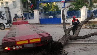 В Феодосии КАМАЗ врезался в дерево