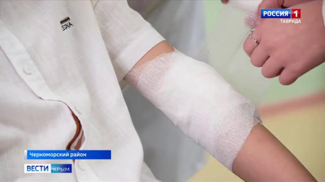 Как в Крыму дают знания, которые спасают жизни