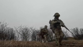 Снайперы Ульяновских десантников оттачивают навыки прикрытия штурмовых групп и борьбы с БПЛА в Запорожской области