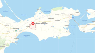 Очаг опасного сорняка выявили в Крыму