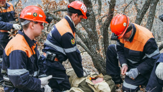 Более 70 человек спасли в горах и лесах Севастополя
