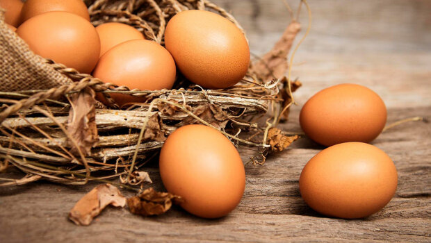В Крыму произвели 56% куриных яиц от потребности населения