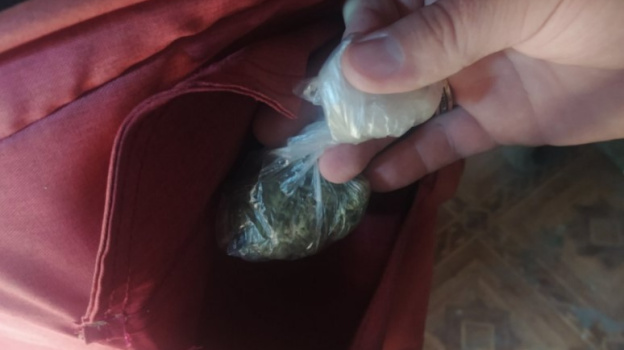 Два куста марихуаны нашли дома у крымчанина