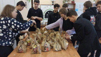 Школьники из Черноморского района собрали для военных новогодние подарки